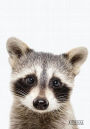 Raccoon Animal Journal 7x10 Inch 102 Page Line Notebook/Diary