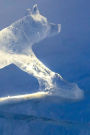 Ice Sculpting
