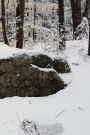 Winter Journal Rock Snowy Forest: (Notebook, Diary, Blank Book)