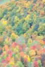 Journal Fall Foliage Mountain View: (Notebook, Diary, Blank Book)