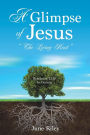 A Glimpse of Jesus