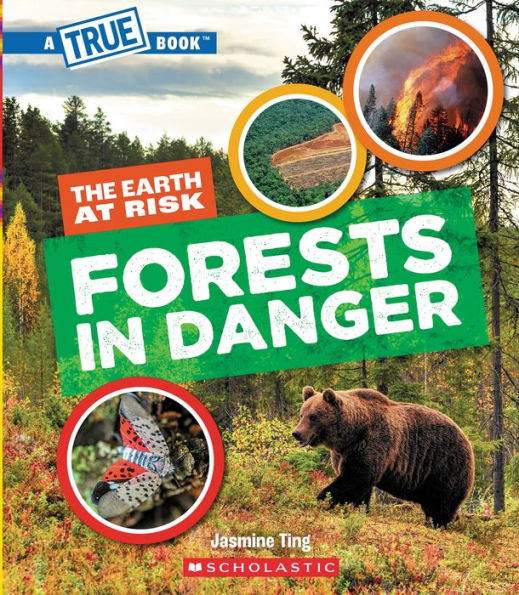 Forests in Danger (A True Book: The Earth at Risk)