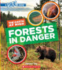 Forests in Danger (A True Book: The Earth at Risk)