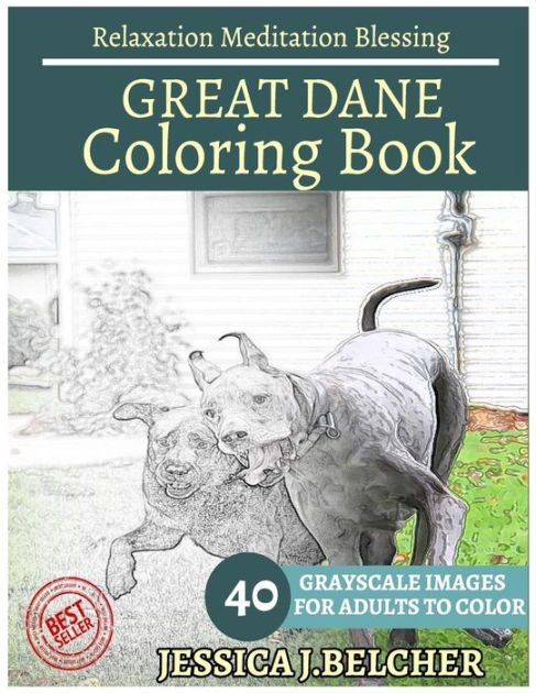 Best Sellers: Best Animal Coloring Books for Grown-Ups