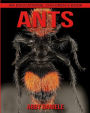 Ants! An Educational Children's Book about Ants with Fun Facts & Photos