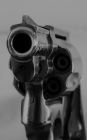 World Of Pulp Book 3