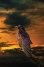 The Raven at Dawn Journal