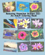 Relaxing Hawaiian Scenes III: An Adult Coloring Book