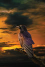 The Raven at Dawn Grid Notebook