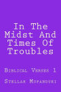 In The Midst And Times Of Troubles: Biblical Verses 1