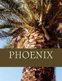 Phoenix: An 8.5 x 11 Travel Log Book for Journaling
