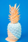 Painted Pineapple Hospitality Journal: 150 Page Lined Notebook/Diary