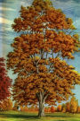 Journal Autumn Tree Fall Foliage Painting: (Notebook, Diary, Blank Book)