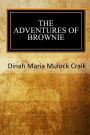 The Adventures of A Brownie