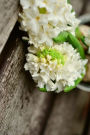 Fresh Picked Hyacinth Flowers Journal: Take Notes, Write Down Memories in this 150 Page Lined Journal