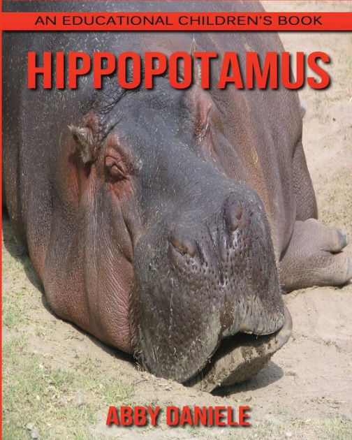 abby's farting hippopotamus