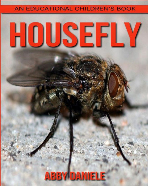 housefly-an-educational-children-s-book-about-housefly-with-fun-facts