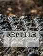 Reptile
