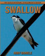 Swallow! An Educational Children's Book about Swallow with Fun Facts & Photos