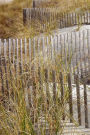 A Fence and Dune Grass at the Beach Nature Journal: 150 Page Lined Notebook/Diary