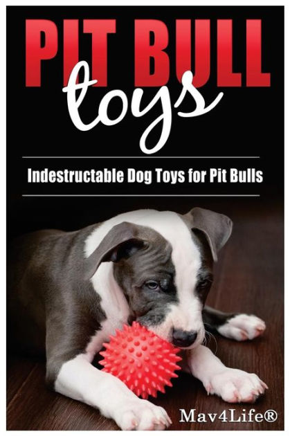 best puzzle toys for pit bulls