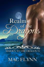 Realms of the Dragons: Maiden to the Dragon #2 (Alpha Dragon Shifter Romance)