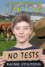 A Lancaster Amish School for Jacob