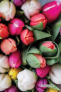 Floral Journal - Spring Time: 6
