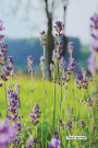 Floral Journal - Wild Purple: 6