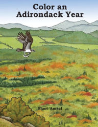 Title: Color an Adirondack Year, Author: Sheri Amsel