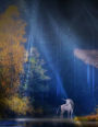Mystical Unicorn in a Magical Forest Journal: 150 page lined notebook/diary 8.5 X 11 inches