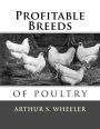 Profitable Breeds of Poultry