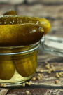 Too Many Pickles for the Jar Journal: Take Notes, Write Down Memories in this 150 Page Lined Journal
