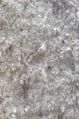 Journal Stone Surface Photo: (Notebook, Diary, Blank Book)