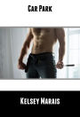 Car Park (Gay, Bisexual, MMF, voy, BI Erotica)