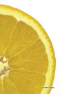 Journal Pages - Yellow Lemon: 6