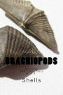 Brachiopods: Notebook 150 Lined Pages 6