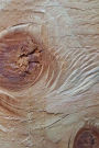 Journal Wood Knot: (Notebook, Diary, Blank Book)