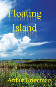 Title: Floating Island: Paul Awakens, Author: Art Crummer