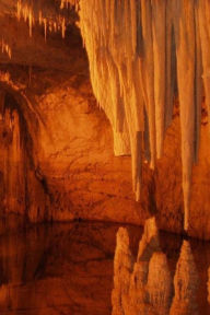 Title: Cave Stalagmites and Stalactites Notebook, Author: Wild Pages Press