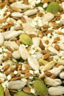 Healthy Seeds Notebook