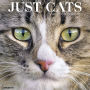 2019 Just Cats Wall Calendar
