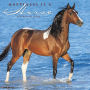 2019 Happiness is a Horse Wall Calendar