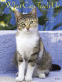2019 What Cats Teach Us Engagement Calendar