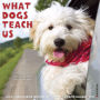 2020 What Dogs Teach Us Wall Calendar