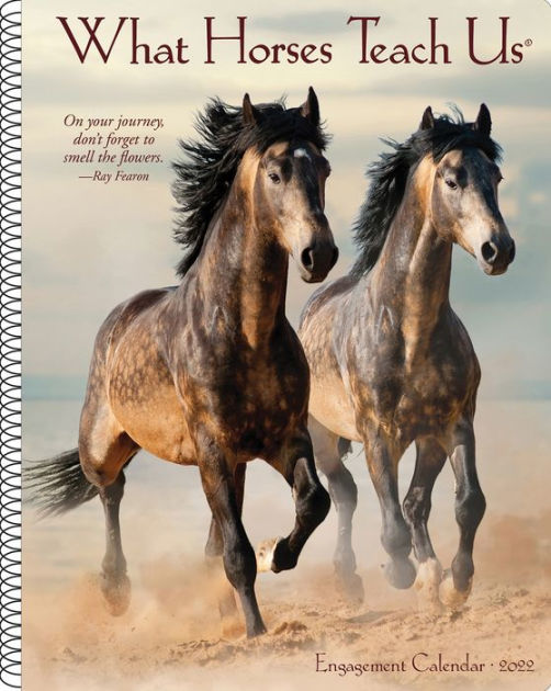 What Horses Teach Us 2022 Engagement Calendar by Willow Creek Press