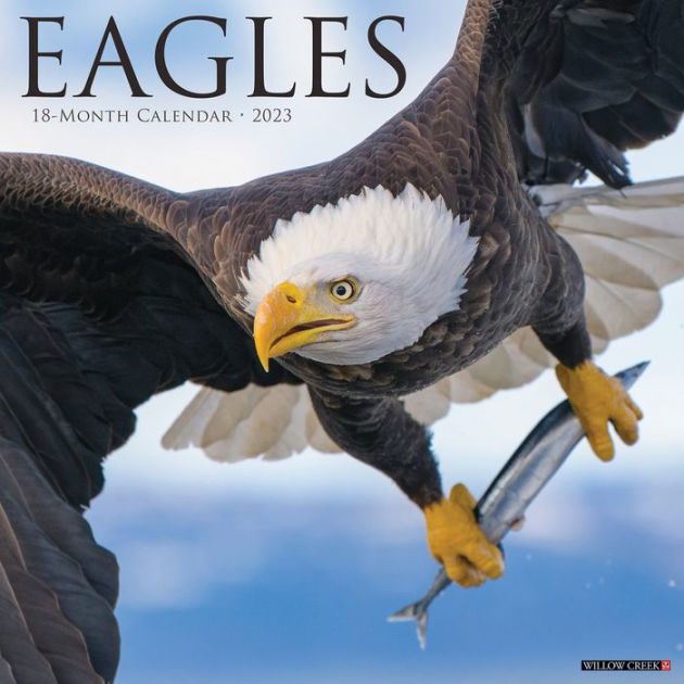 Eagles 2023 Wall Calendar by Willow Creek Press Barnes & Noble®