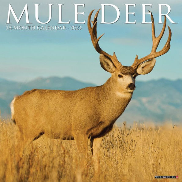 Mule Deer 2023 Wall Calendar by Willow Creek Press Barnes & Noble®