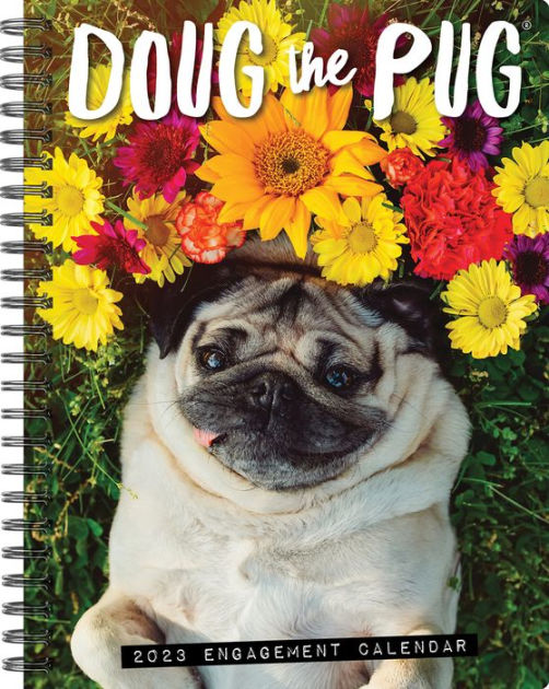 Doug the Pug 2023 Engagement Calendar by Leslie Mosier Barnes & Noble®