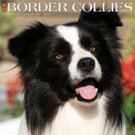 Title: Just Border Collies 2024 12